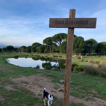 索蒂略德拉德拉达El Refugio De Felix别墅 外观 照片