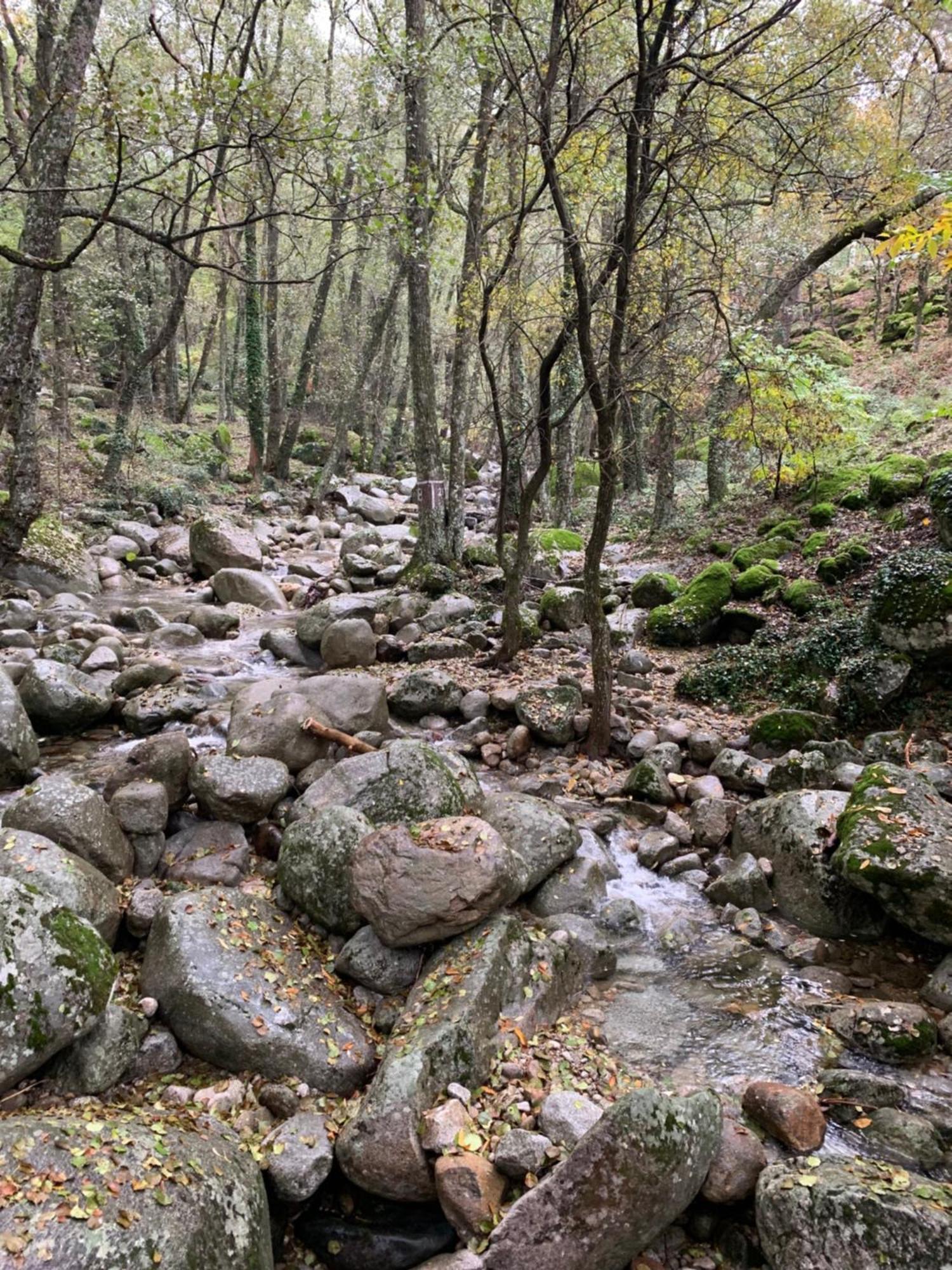 索蒂略德拉德拉达El Refugio De Felix别墅 外观 照片